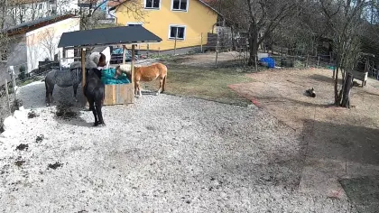 Einstellplatz zu vergeben