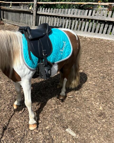 Mini-Pony-Sattel