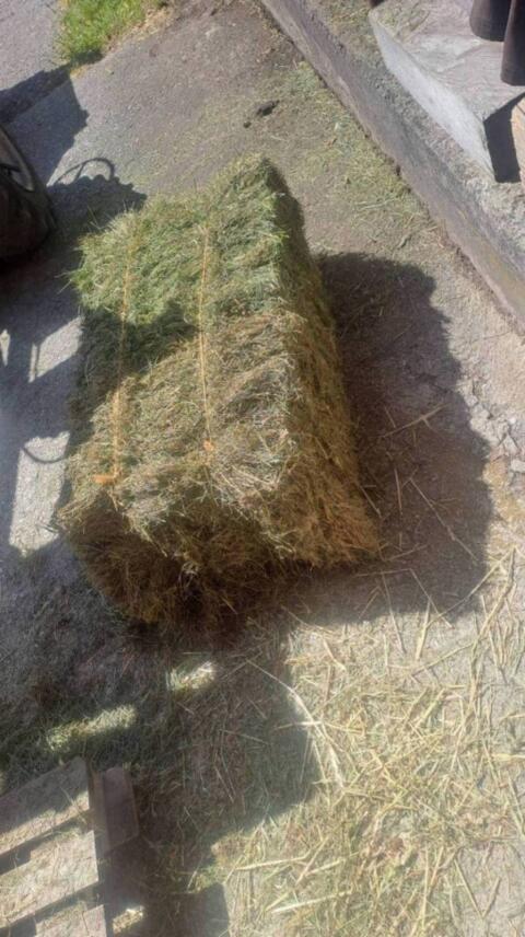 Bio-Heu Kleinballen