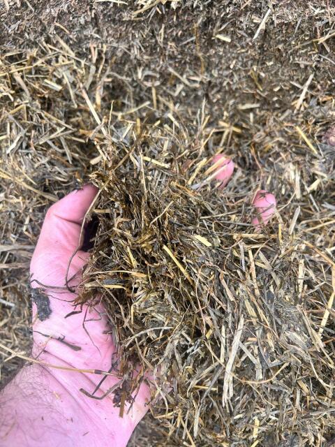 Silage Häckselballen 3-4 Schnitt