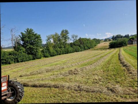 Heuballen 2. Schnitt