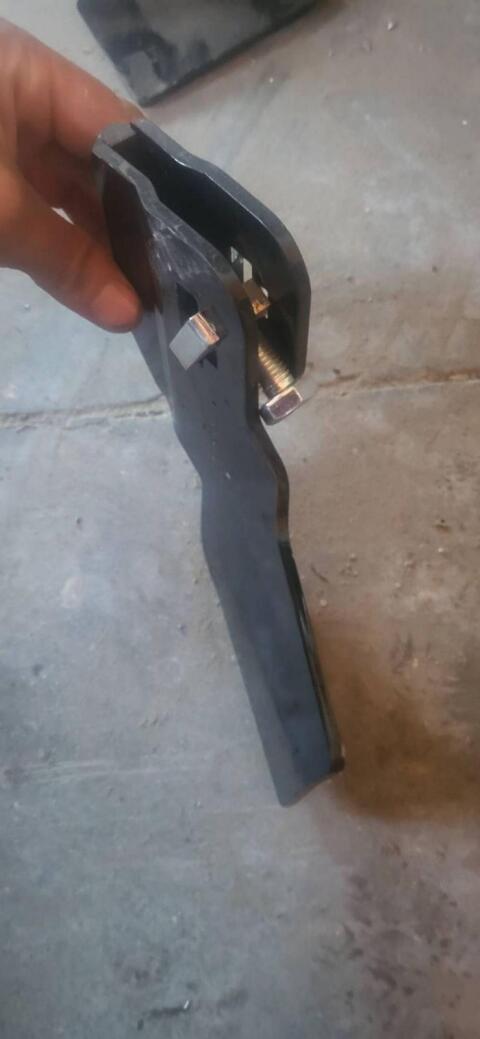 Flachhäufler Schmotzer