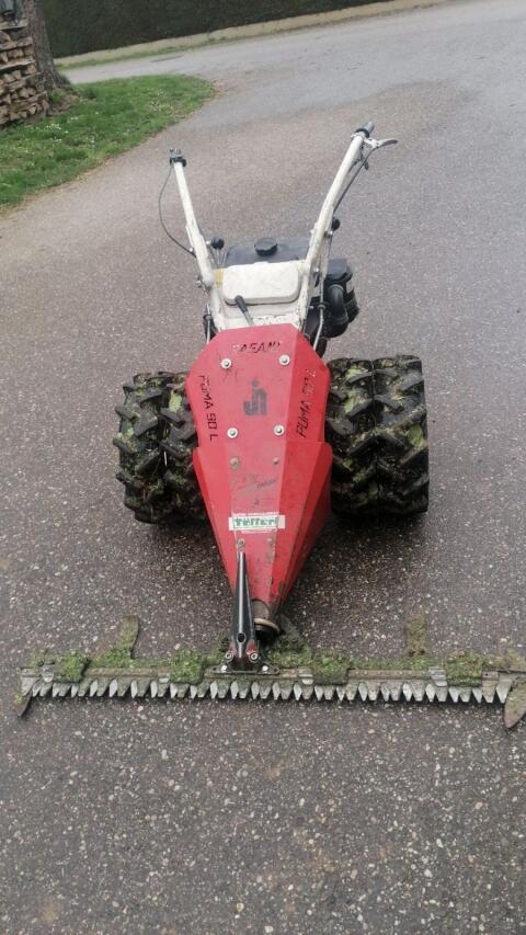 Puma Rasant 90 l mit Rotax Motor