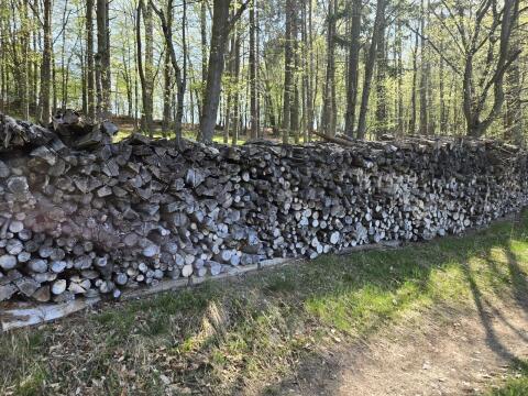 Brennholz Buche