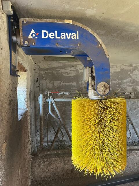 Spazzola DeLaval
