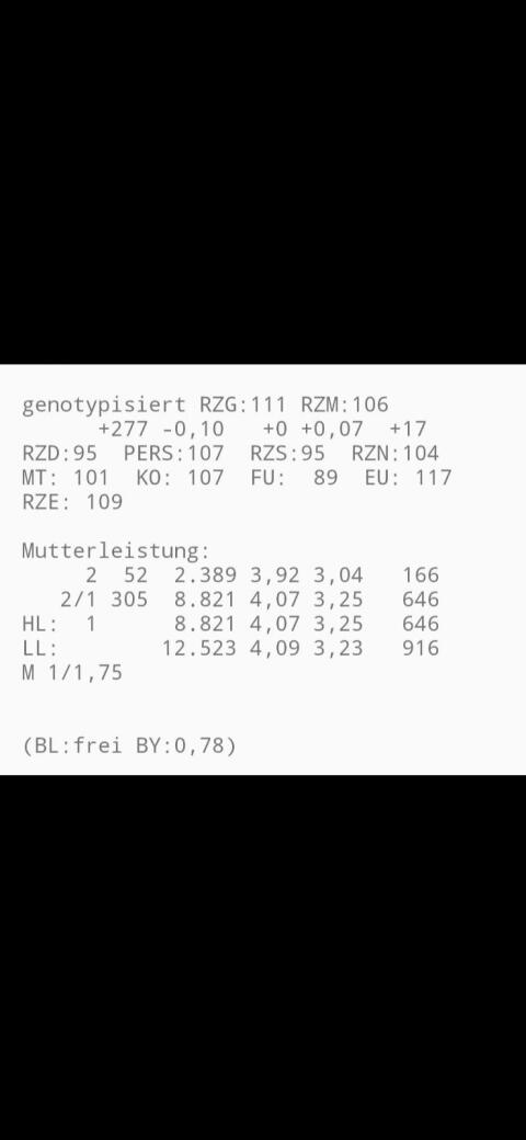 Verkaufe Holstein Zuchtkalb weiblich