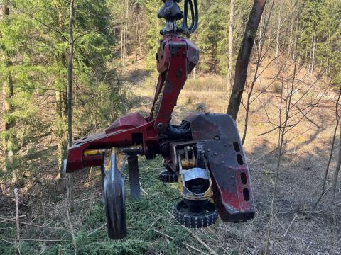 WOODY H61