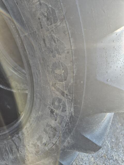 Michelin Multibib