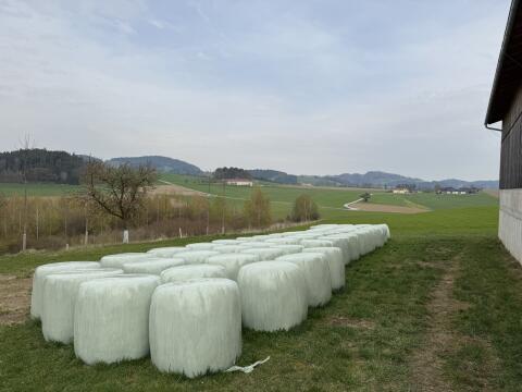 Rundballen 135 cm Silage Gras und Kleegras