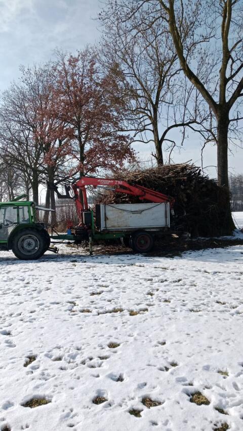 Rückewagen mit Zange