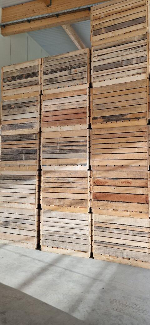 Holzkisten Kartoffelkisten