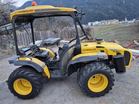 Pasquali Ergo 8.80