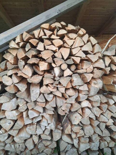 Brennholz Buche