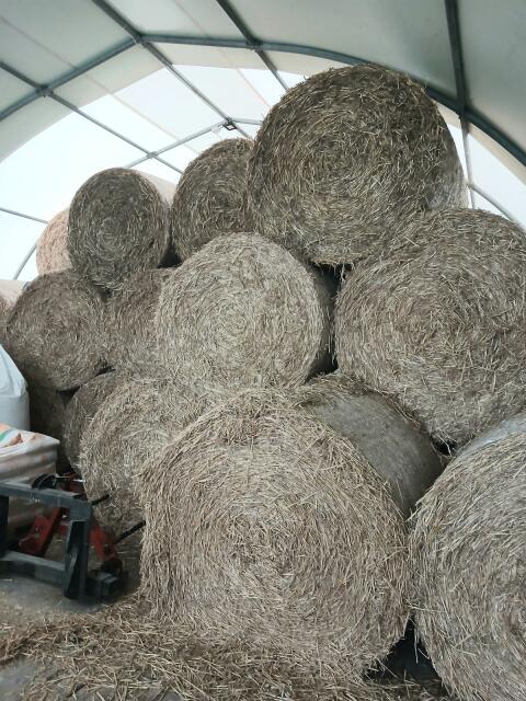 Verkaufe Strohballen