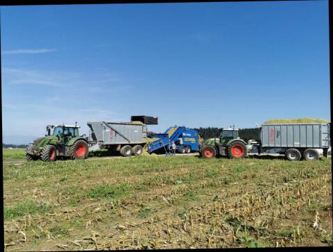 Bio-Maissilageballen
