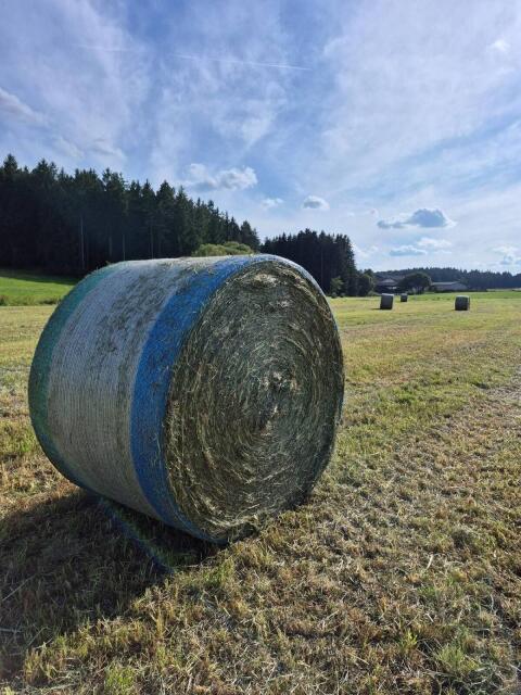 Heuballen