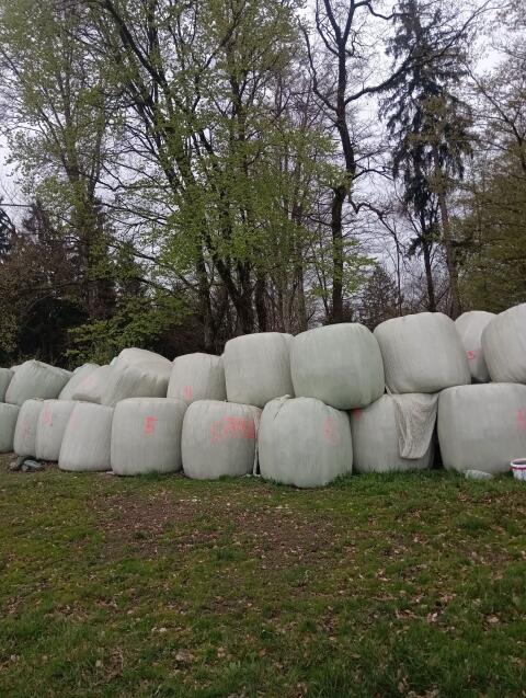 Verkaufe Silageballen (3., 4. und 5. Schnitt – Jahr 2025)