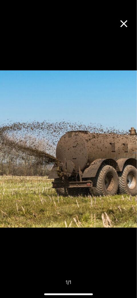 Gülle zum Verkaufen