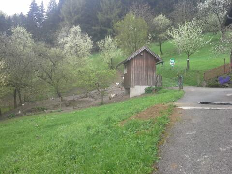 Baumblütenwanderung