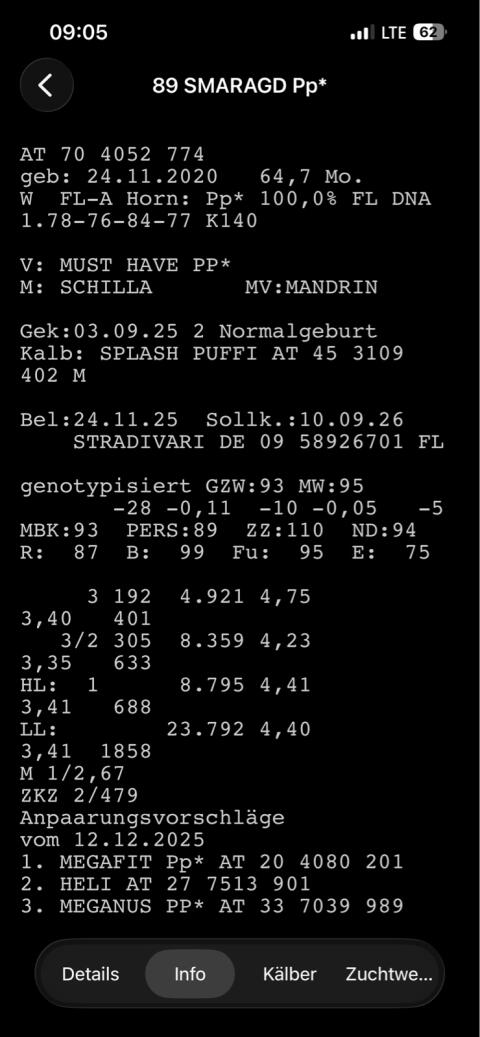 Verkaufe trächtige Fleckvieh-Milchkuh