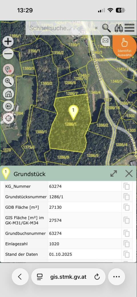 Wald zu verkaufen