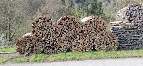 Buchenbrennholz