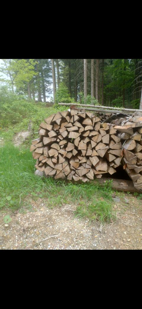 Brennholz