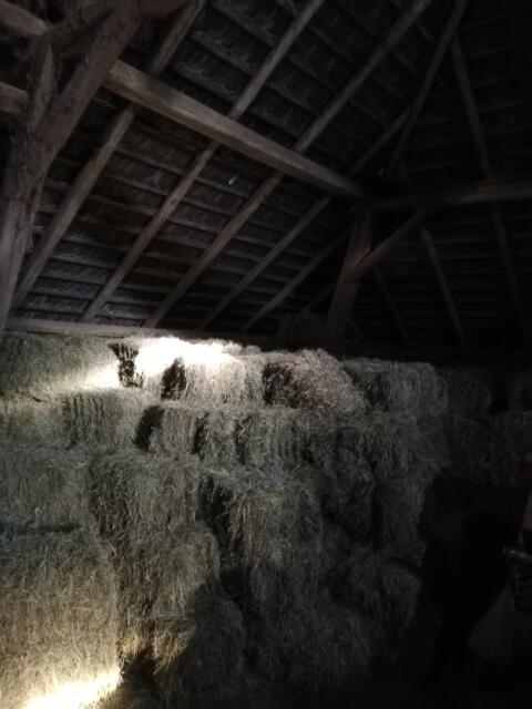Heuballen