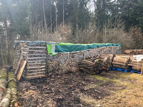 Brennholz Esche