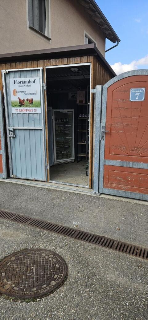 Holz, Wachtelprodukte, Zwiebel, Hühnereier, Honig