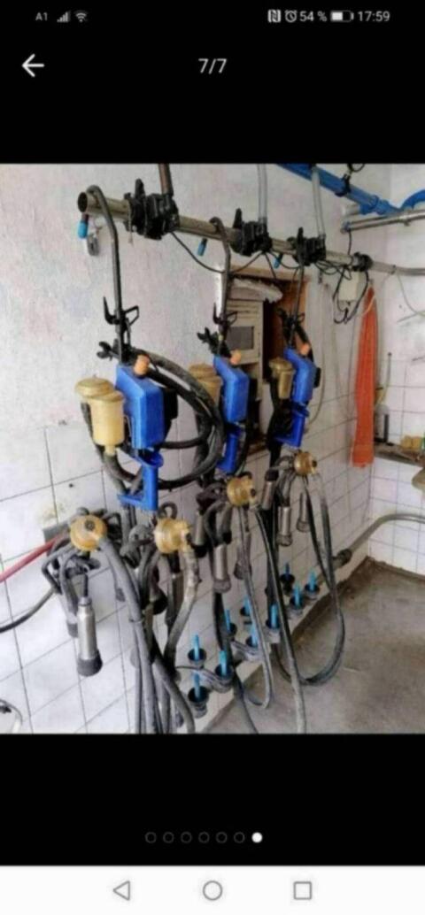 Rohrmelkanlage DeLaval