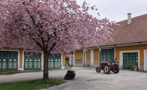 Suche Sacherl/Hof/Haus mit Stall