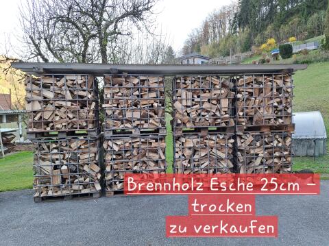 Brennholz Ofenholz Kaminholz 25 cm Esche trocken