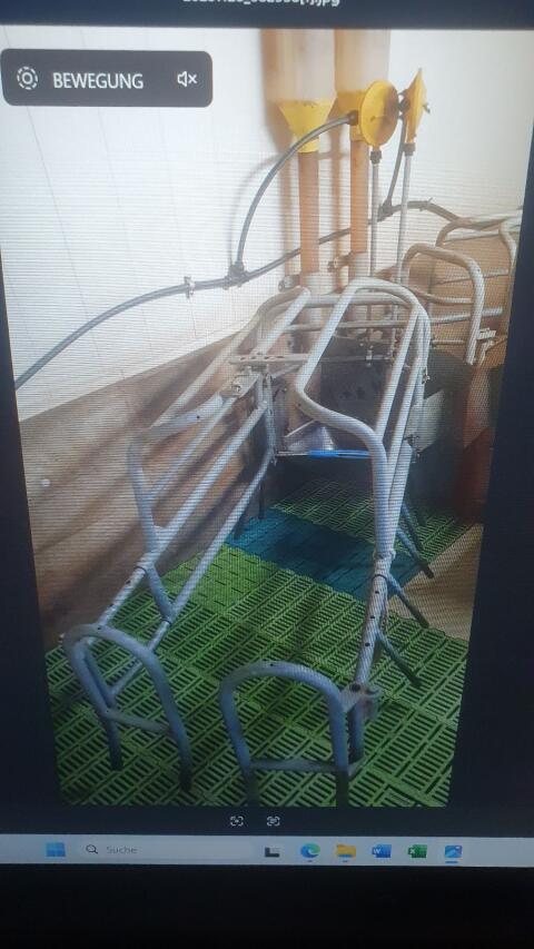 Mannebeck Abferkelboxen