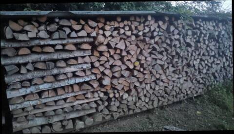 Buchenholz
