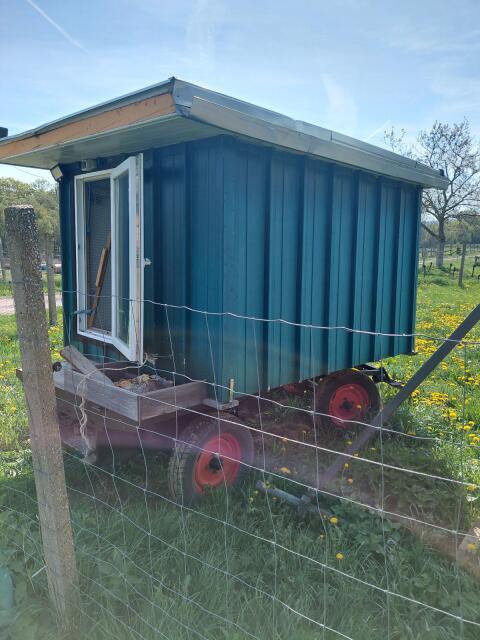Mobiler Hühnerstall