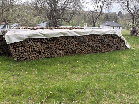 Brennholz Eiche