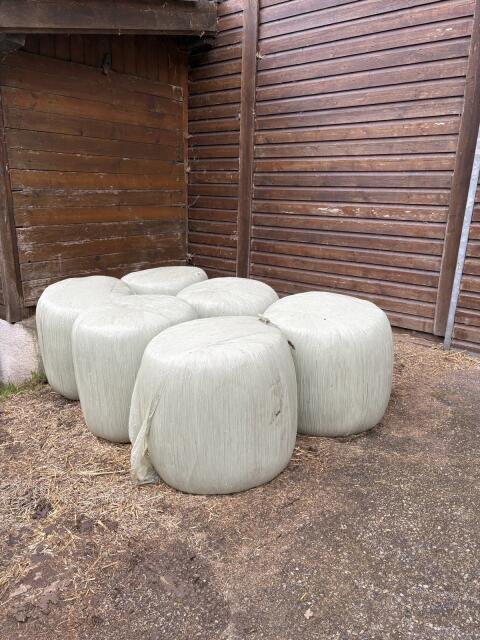 Mini-Maisballen