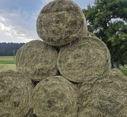 Heuballen 1. und 2. Schnitt
