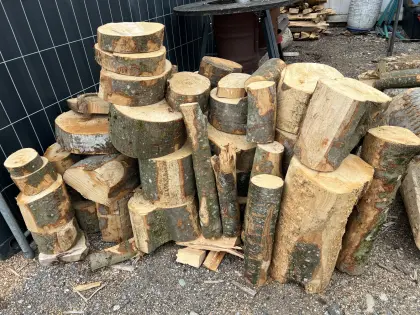 Holzabschnitte Buche