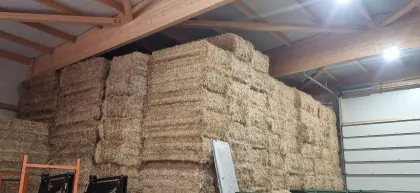 Hallengelagertes Stroh