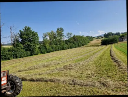 Heuballen 2. Schnitt