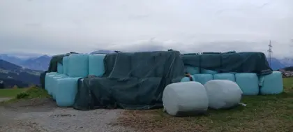 Maisballen zu verkaufen