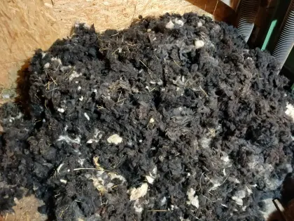 Schafswolle vom Tiroler Bergschaf