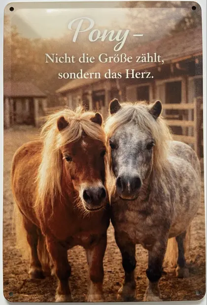 Blechschild 30 x 20 cm Pony klein, aber mit Herz