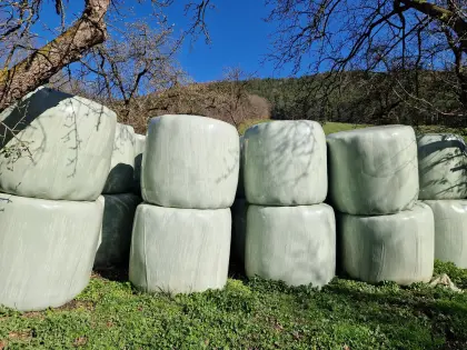 Siloballen 1. + 2. Schnitt 2025