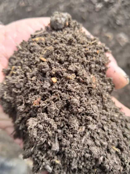 Wir machen Gold aus Ihrem Aushub und Komposthaufen