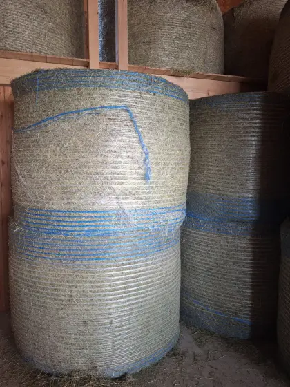 Belüftungsheu Ernte 2025