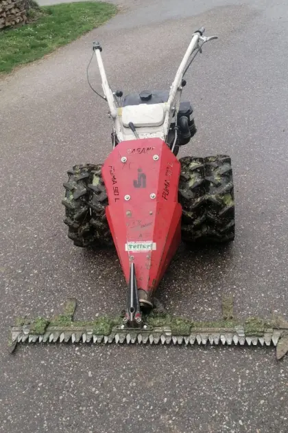 Puma Rasant 90 l mit Rotax Motor