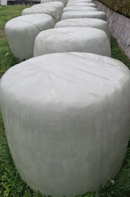 Grassilageballen 3. und 4. Schnitt